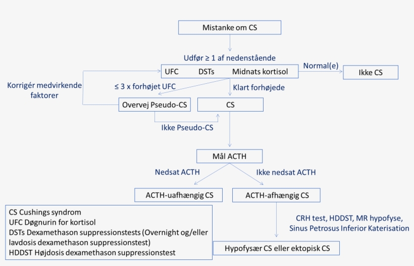 Udredning Ved Mistanke Om Cushing Syndrom, transparent png #7259809