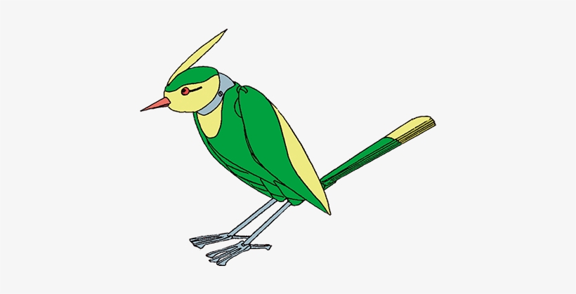 Birdy, transparent png #7261787