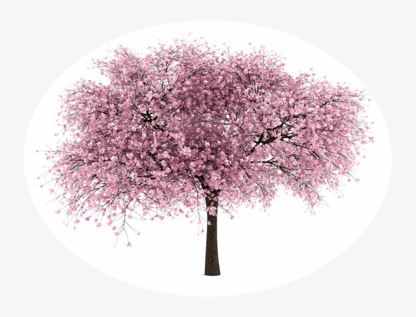 Caucasian Chalk Circle, transparent png #7262694