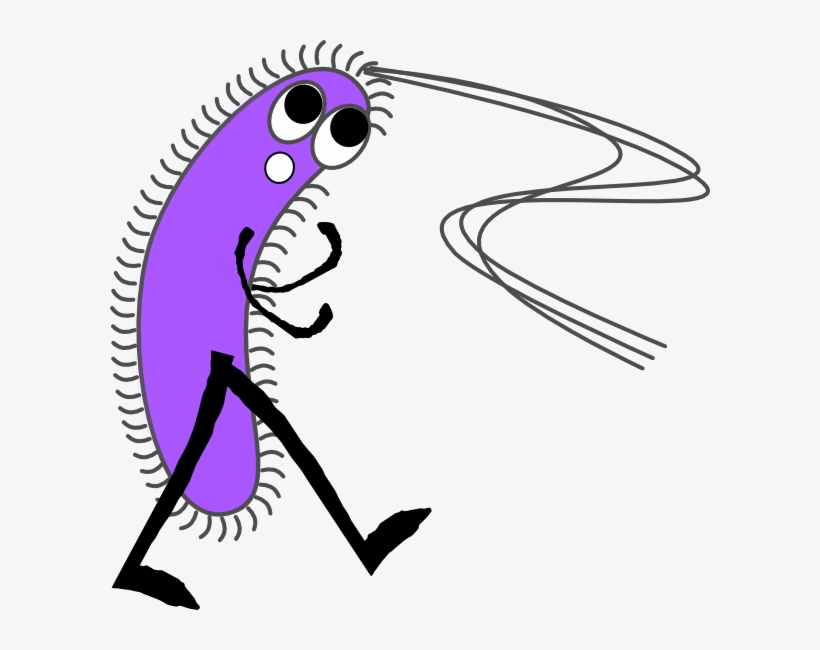Funny Mouth Png, transparent png #7263724