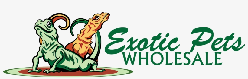 Exotic Pets Wholesale, transparent png #7264324