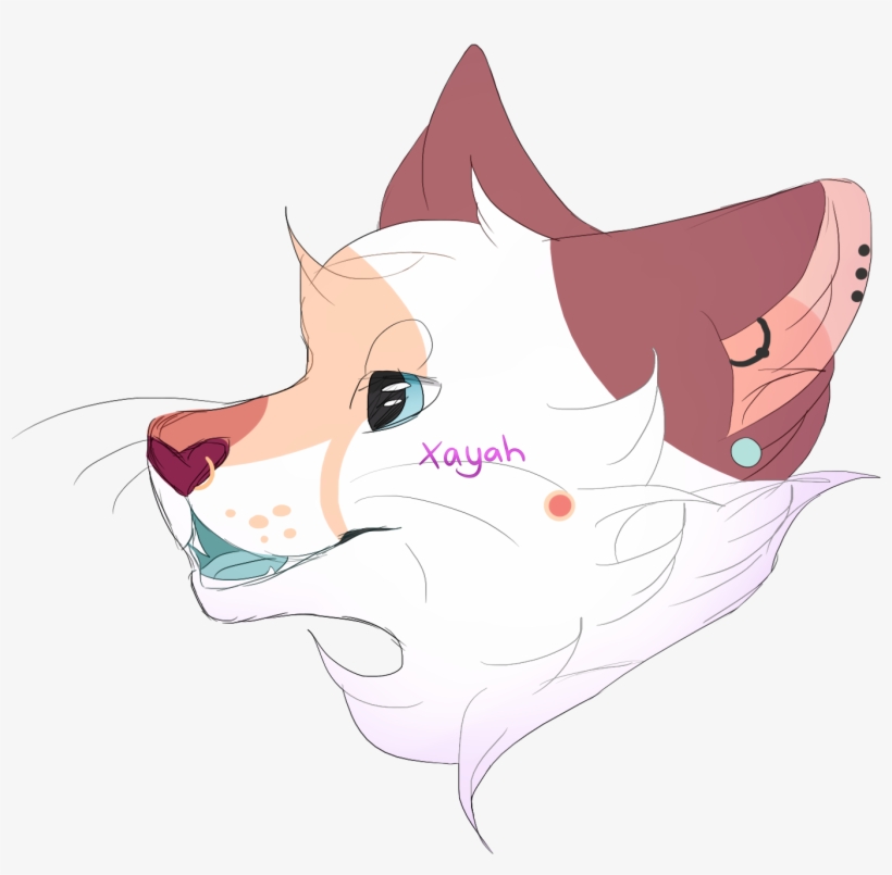 Details, transparent png #7264767