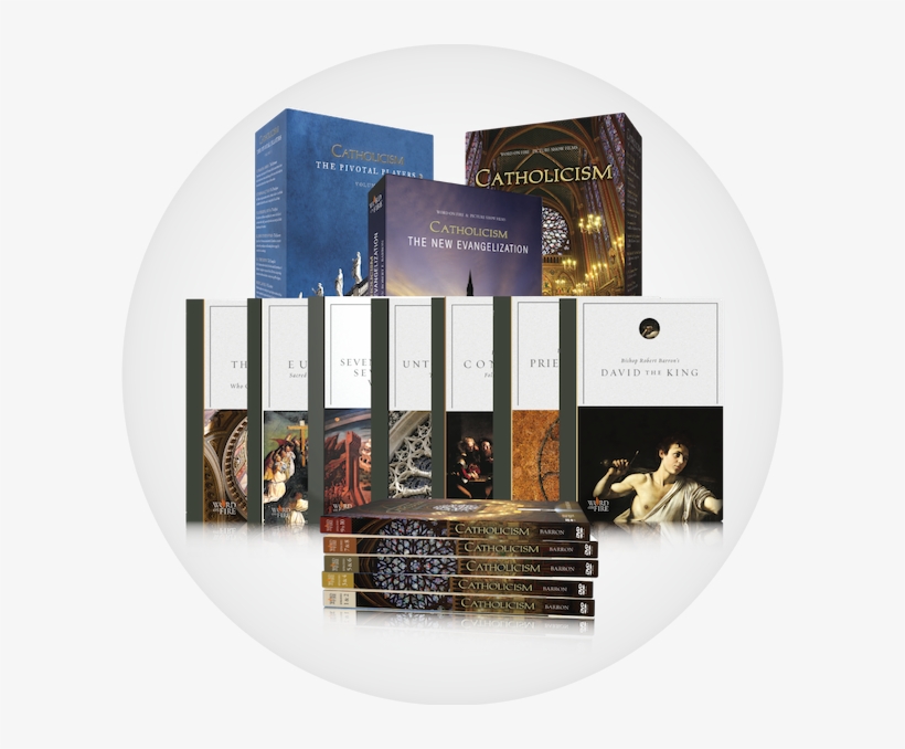 Get The Complete Bishop Barron Dvd Collection For Your, transparent png #7266954