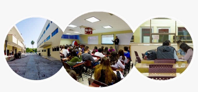 Contador Público, transparent png #7267333