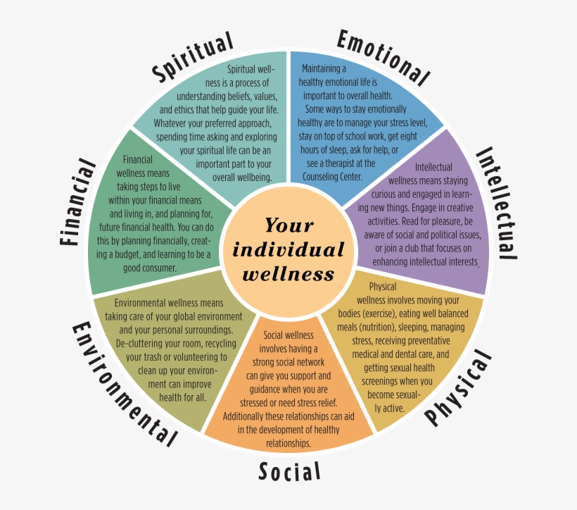 Wellness Wheel, transparent png #7268366