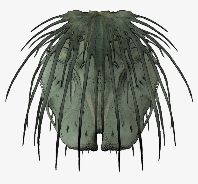 Post, transparent png #7270115