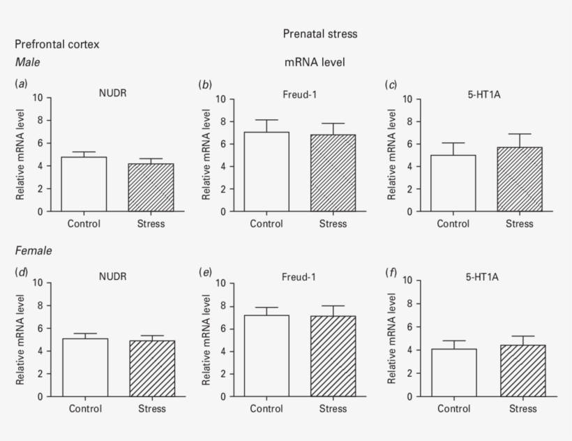 Real Time Pcr Analysis Of The Expression Of The Nudr,, transparent png #7271722