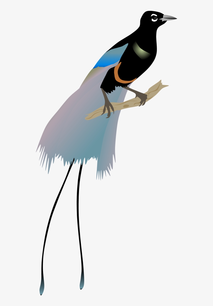 Bird Of Paradise Png, transparent png #7271730