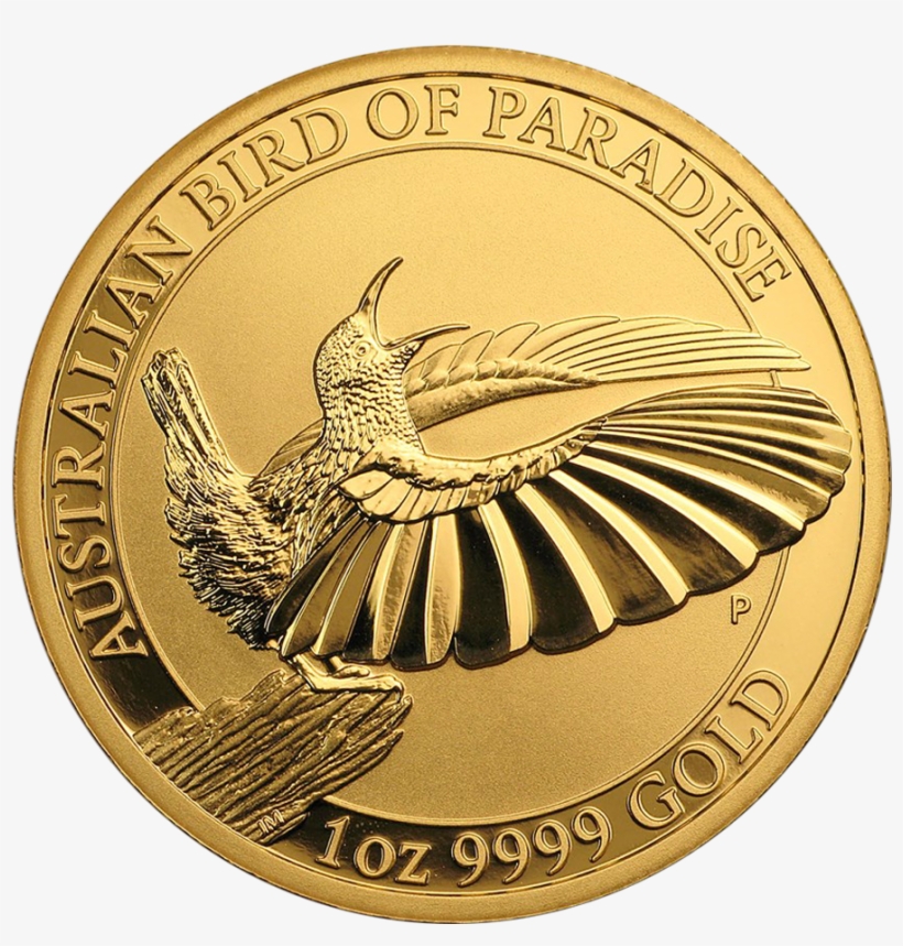 2018 Australian Bird Of Paradise Victoria's Riflebird, transparent png #7271833