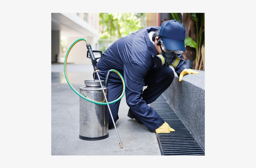 Janitor Png, transparent png #7272529