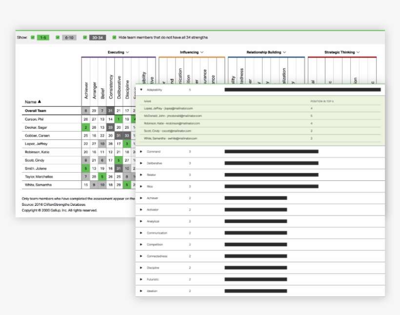 With The Cliftonstrengths Team Grid, Managers Can See, transparent png #7275501