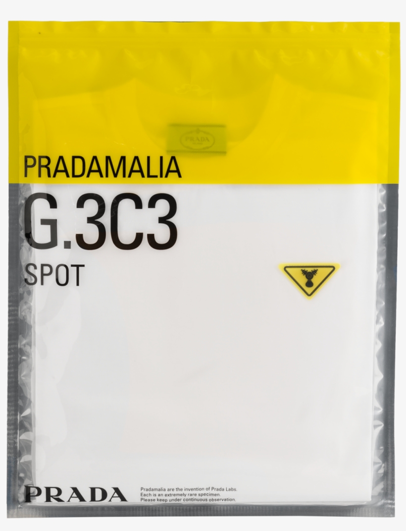 Grid Paper Png, transparent png #7275692