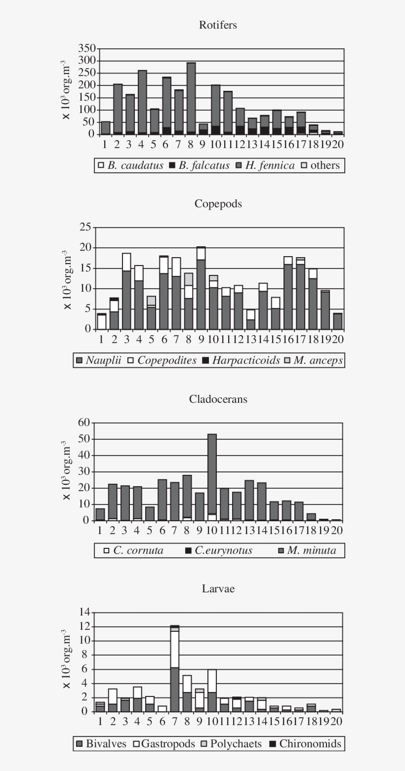Density Of Main Zooplankton Taxa At The 20 Sampling, transparent png #7277444