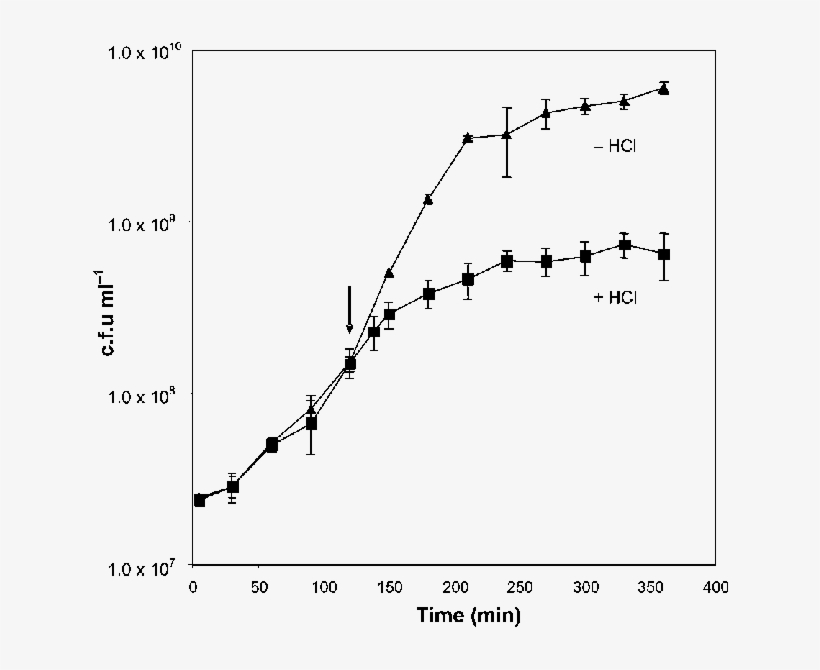 Growth Of S, transparent png #7279952