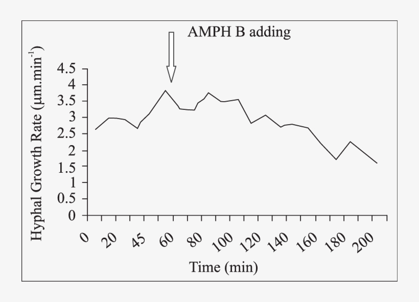 Time Course Of The Growth Rate Of Individual Hyphae, transparent png #7280178