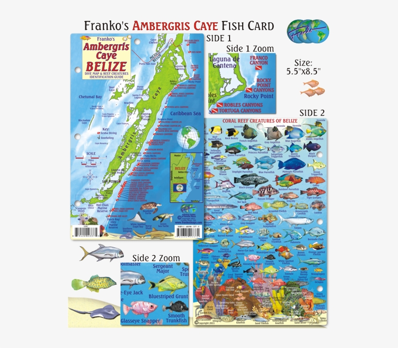 Caribbean Map Png, transparent png #7280803