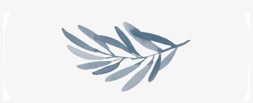 Leaf Long Mid, transparent png #7281796