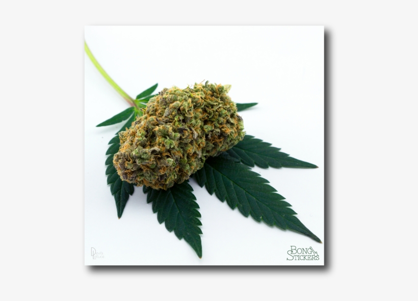 Dank Bud Weed Sticker, transparent png #7281858