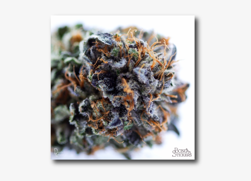 Dank Bud Weed Sticker, transparent png #7281911