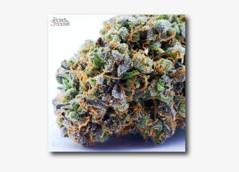 Dank Bud Weed Sticker, transparent png #7281963