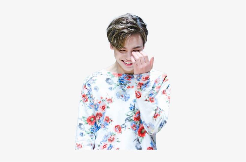 Vernon Seventeen Png, transparent png #7282230