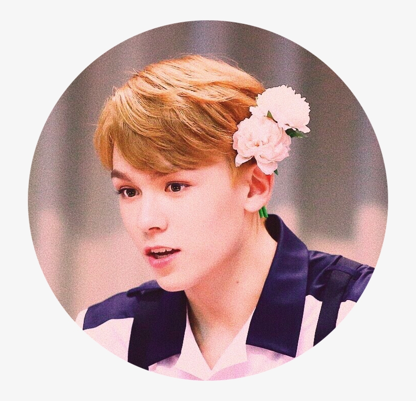 Layouts ⛅ Vernon Layouts Like&reblog If You, transparent png #7282490