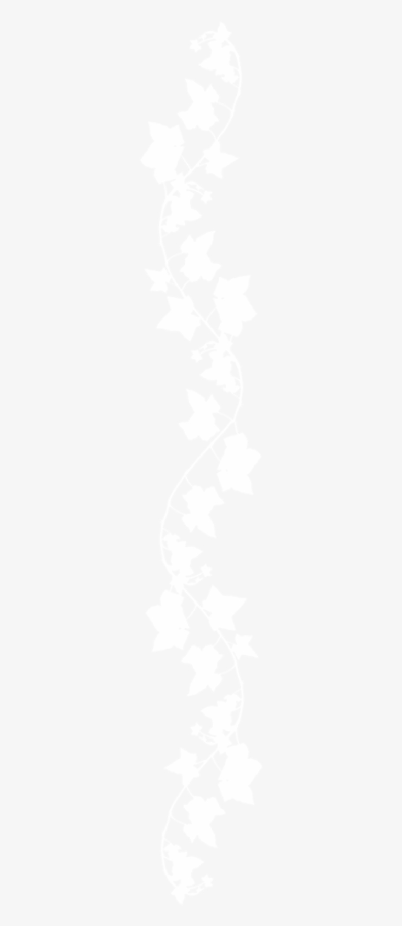 Vine, transparent png #7287348