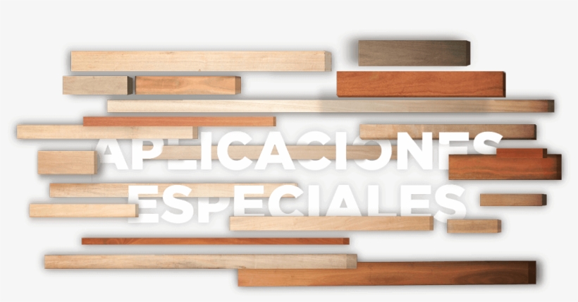 Especiales, transparent png #7287662