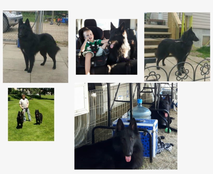 Attra Dea's Father Time, transparent png #7288600