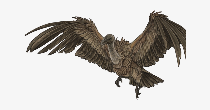 Vulture Png, transparent png #7289168