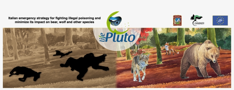 Vulture Png, transparent png #7289424