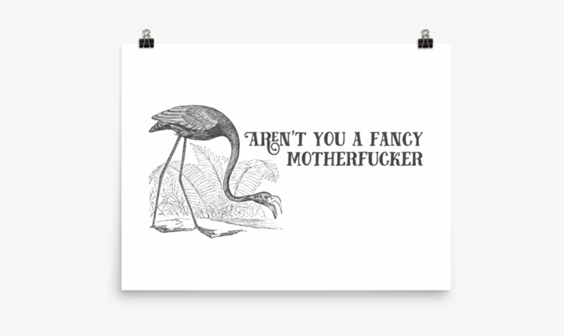 Vulture Png, transparent png #7289635