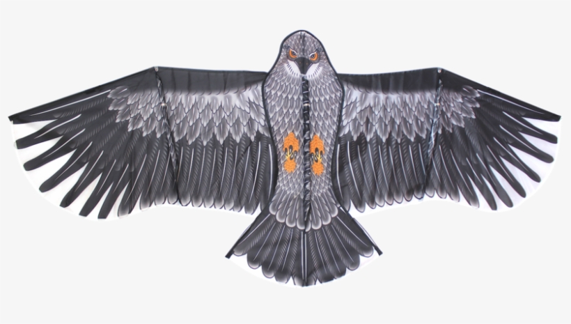 High As A Kite, transparent png #7289743