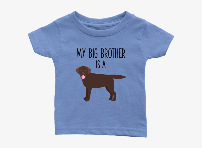 My Big Brother Is A Chocolate Labrador Retriever Baby, transparent png #7290489