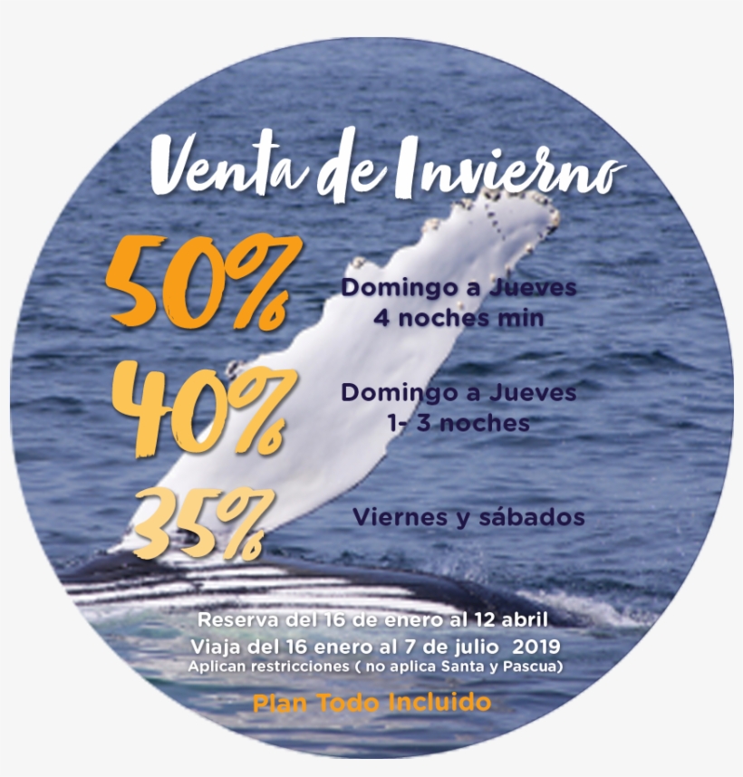 Kayaks On The Beach, transparent png #7291022