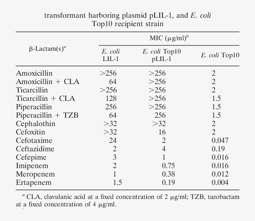 Mics Of Lactams For E, transparent png #7291736