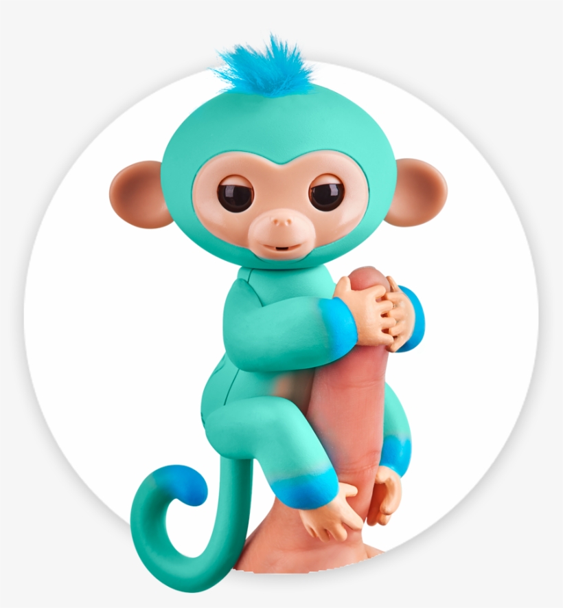 Fingerlings Monkey 2tone Ombre Eddie, transparent png #7293433