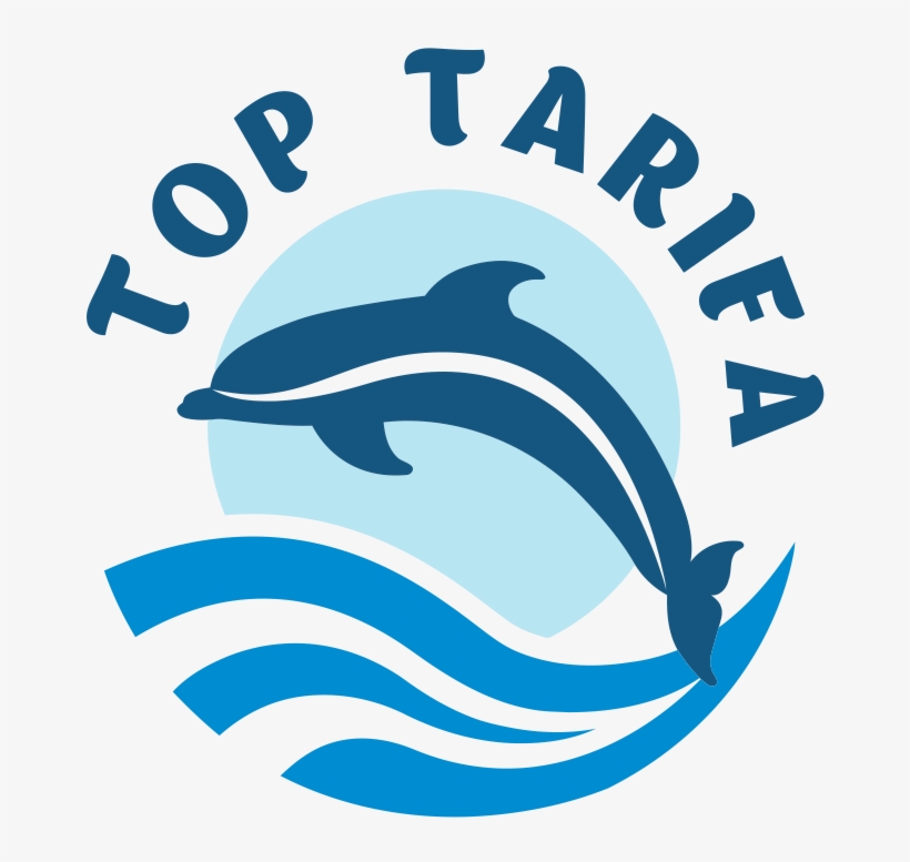 Top Tarifa, transparent png #7293700