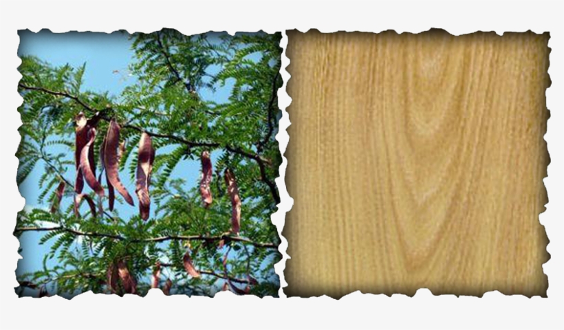 Protection, Binding, Physical Enchantments, Prosperity, transparent png #7296095