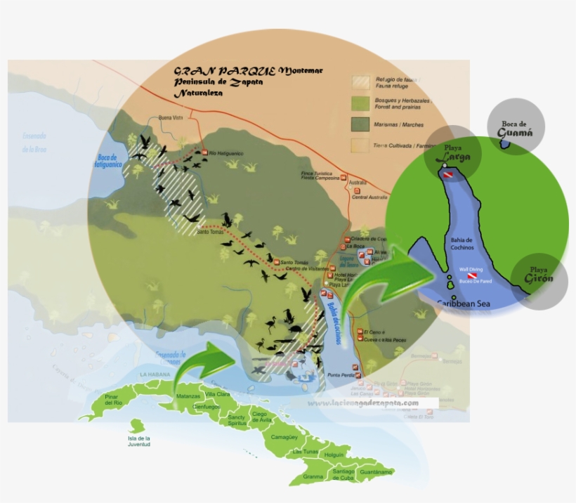 Location, transparent png #7296269