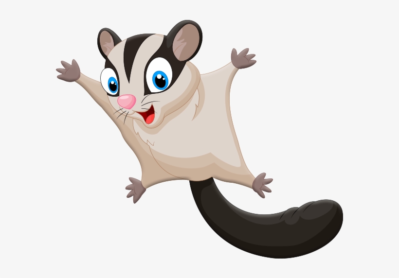Sugar Glider, transparent png #7298091