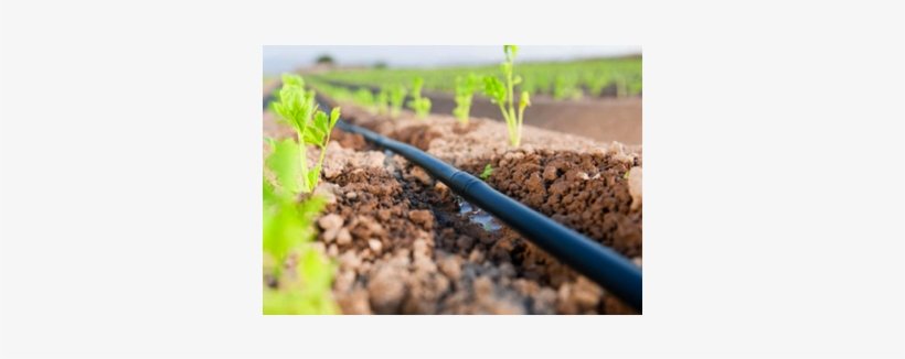 Water Restrictions Came Into Force, Effectively Banning, transparent png #730080