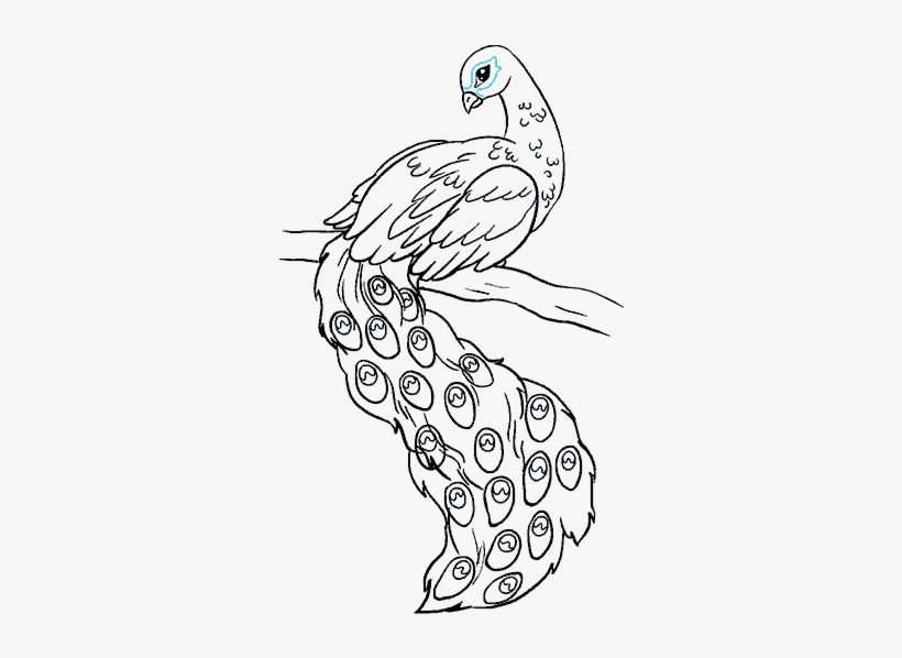 Bird Step By At - Easy Drawing Of Peacock, transparent png #730081