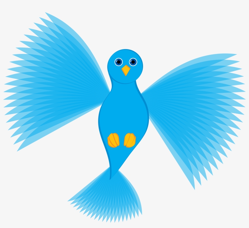 Orange County 2nd Nature Skateboarding Service - People First, transparent png #730219