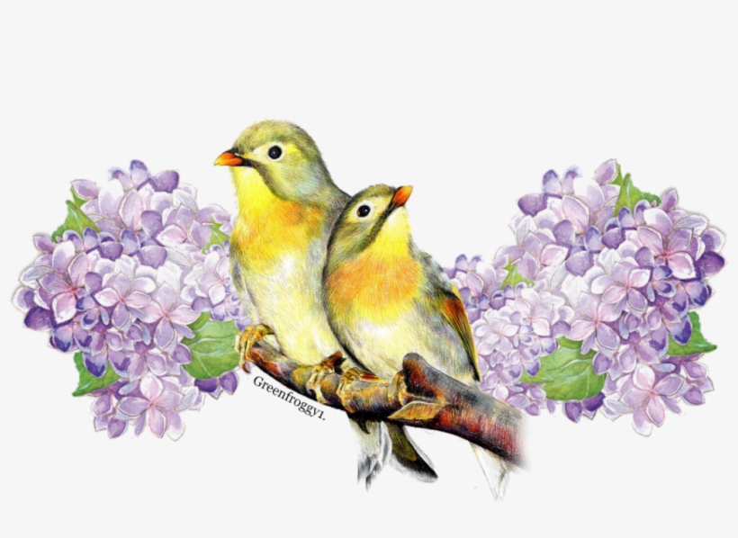 Posted By Greenfroggy1 7/23/18 At - Posterazzi Bw Floral Iii Poster Print By Jennifer Pugh, transparent png #730358