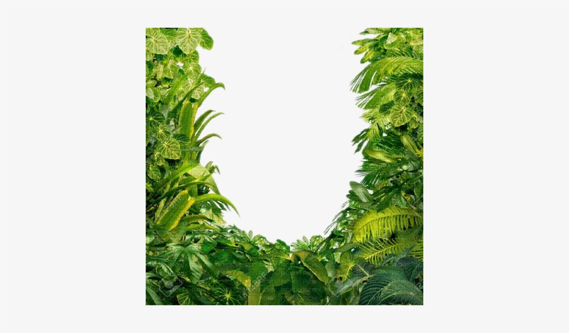 Jungle Leaves Png - Transparent Jungle Leaves, transparent png #730835