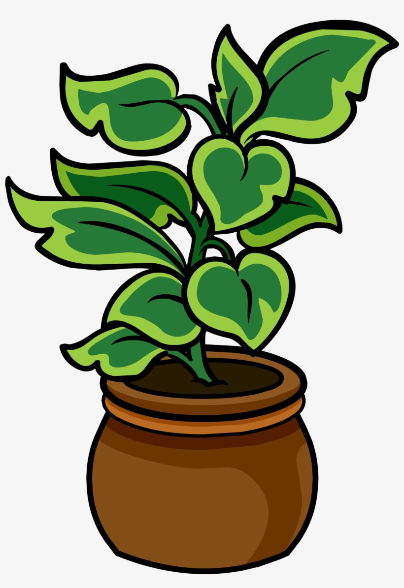 Potted Palm - Png - Potted Plant Club Penguin, transparent png #730892