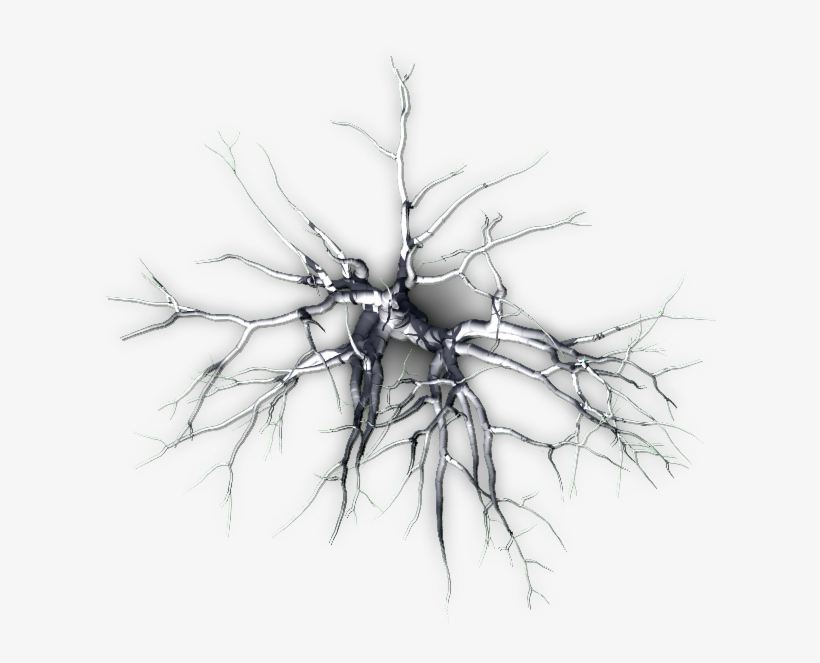 תמונה קשורה - Top, transparent png #731091