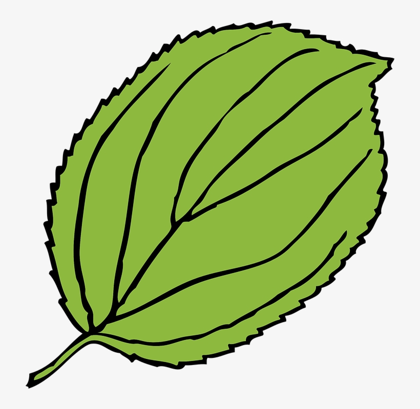 Big Tree Clipart At Getdrawings - Leaf Clip Art, transparent png #731221
