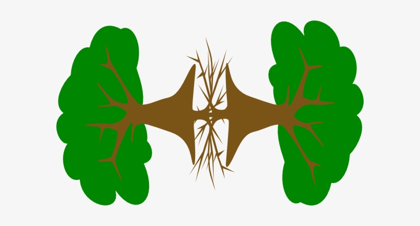 Clip Art, transparent png #731272